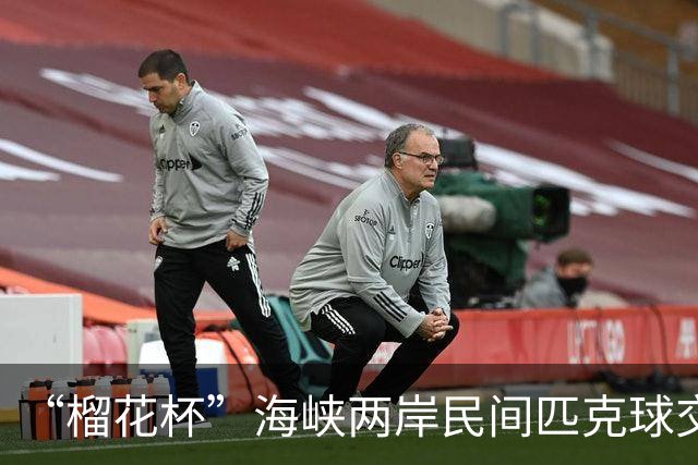 “榴花杯”海峡两岸民间匹克球交流赛在云南省玉溪开赛